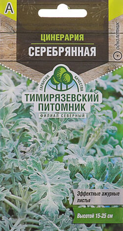 Семена цинерария Серебряная ТИМ 0,05 г