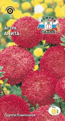 Семена астра Анита помпонная густо-красная смесь СЕДЕК 0,2г