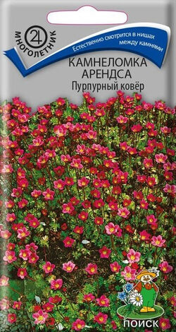 Семена камнеломка Арендса Пурпурный ковёр ПОИСК 0,01 г