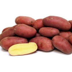 Картофель семенной Ред Скарлет 30-55 мм 2 кг grs