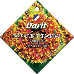 Гайлардия красивая Лоллипап двухцветная семена Дарит 0,1г 