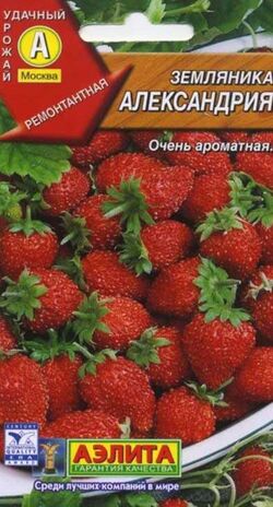 Семена земляника Александрина АЭЛИТА 0,05г