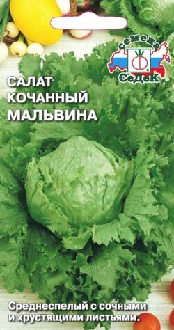 Семена салат айсберг Мальвина СЕДЕК 0,5 г