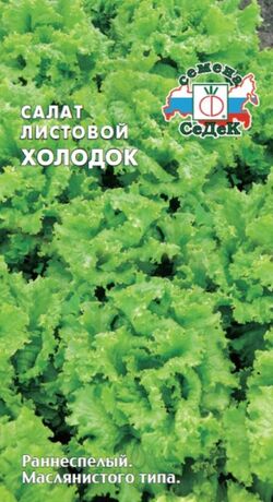 Семена салат листовой Холодок СЕДЕК 0,5 г