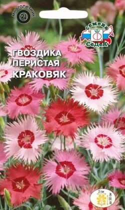 Семена гвоздика перистая Краковяк смесь розовых тонов СЕДЕК 0,05 г