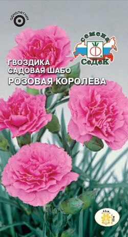 Гвоздика садовая Шабо Розовая королева насыщенно-розовая СЕДЕК 0,1 г