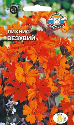 Семена лихнис Аркрайта Везувий красно-оранжевый СЕДЕК 0,25 г
