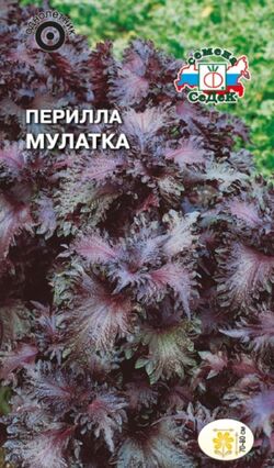 Семена перилла кустарниковая Мулатка пурпурная СЕДЕК 0,1 г