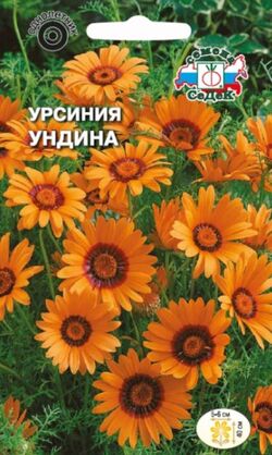 Семена урсиния укропная Ундина золотисто-оранжевая СЕДЕК 0,1 г