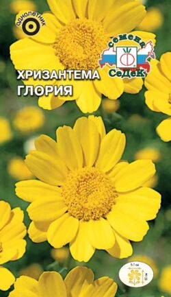 Семена хризантема посевная Глория золотисто-желтая СЕДЕК 0,5 г