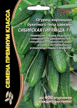 Семена огурец-корнишон Сибирская Гирлянда F1 Уральский дачник