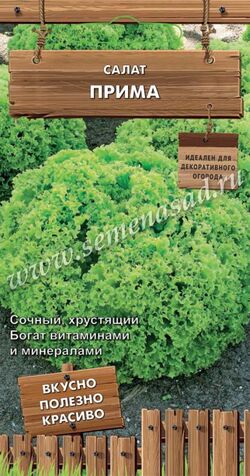 Семена салат Прима (А) Поиск