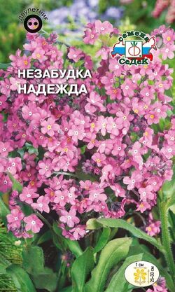 Незабудка Надежда альпийская ,нежно-розовая семена СЕДЕК,0.1г