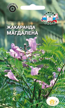 Семена жакаранда Магдалена(мимозолистная) СЕДЕК 0,1 г