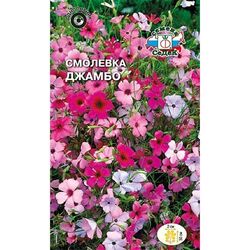Цветок Смолевка Джамбо небесная роза смесь цветов СЕДЕК 0,3 г