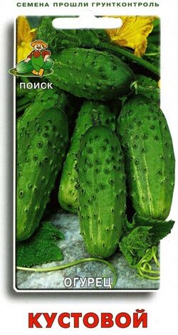 Семена огурец Кустовой (Семетра) ПОИСК 0,5г