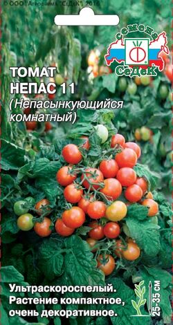 Семена томат Непасынкующийся Комнатный СЕДЕК 0,1г
