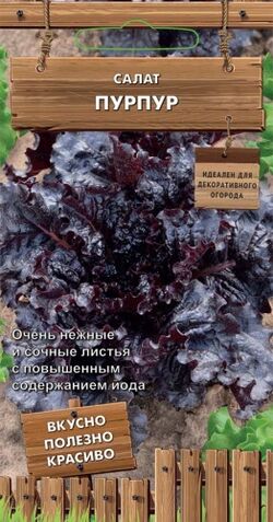 Семена салат Пурпур (А) Поиск